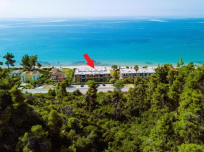 Sunny Bay, beachfront 1-bdrm apartment